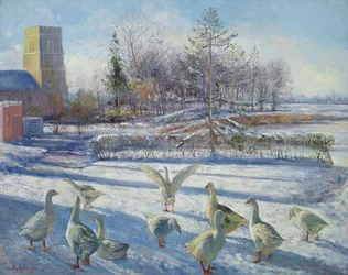 Schneegänse, Wintermorgen